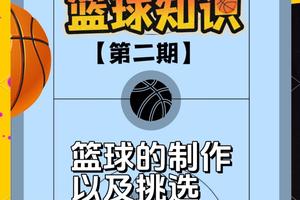 如何利用数字孪生帮助青少年篮球运动员成长:技术创新与实践